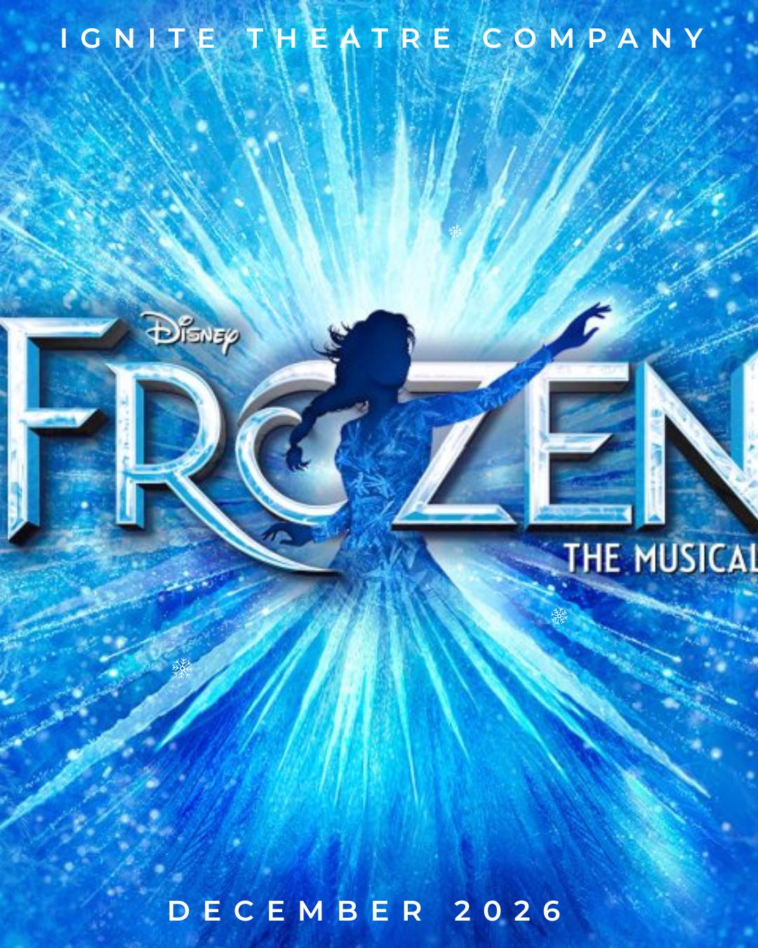 frozen_poster_instagram